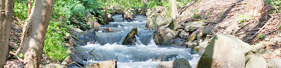 Gew�sserstudie der Sauer